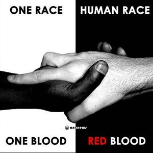 Meet your Posher, Mac